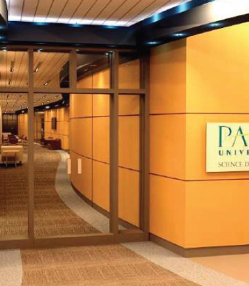 Pace University Science Labs ENV Team