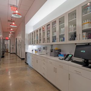 aspca corridor SMALL