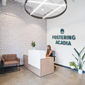 ENV VA insights FA med2