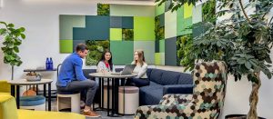 RT env ny hero biophilia