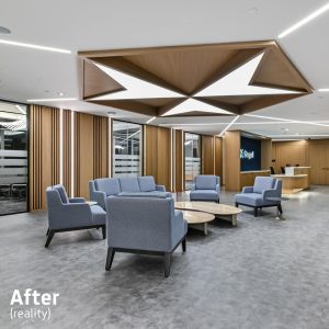 segal real med recep