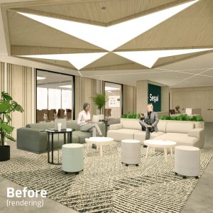 segal render med recep